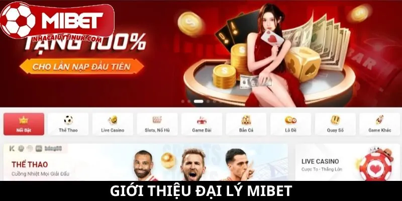 Khái quát đại lý Mibet