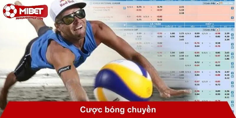 Cược bóng chuyền