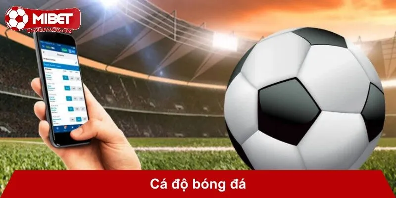 Cá độ bóng đá